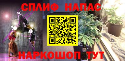 шишки Изобильный