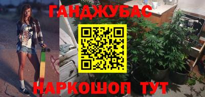 шишки Изобильный