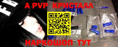 шишки Изобильный