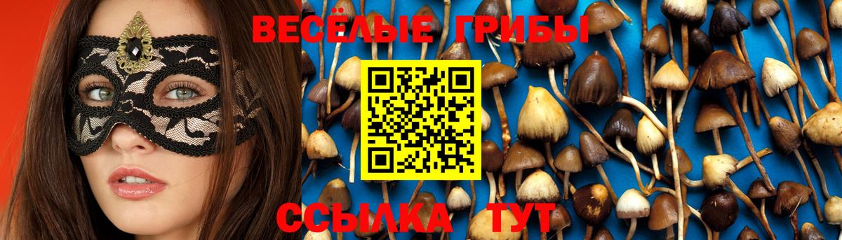 Лениногорск  Псилоцибиновые грибы Cubensis  Вход с VPN  Псилоцибиновые грибы Magic Shrooms 
