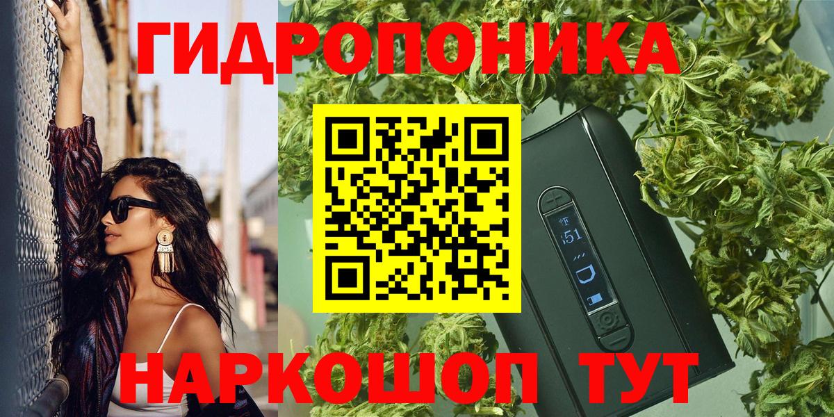 Бошки марихуана марихуана Лениногорск